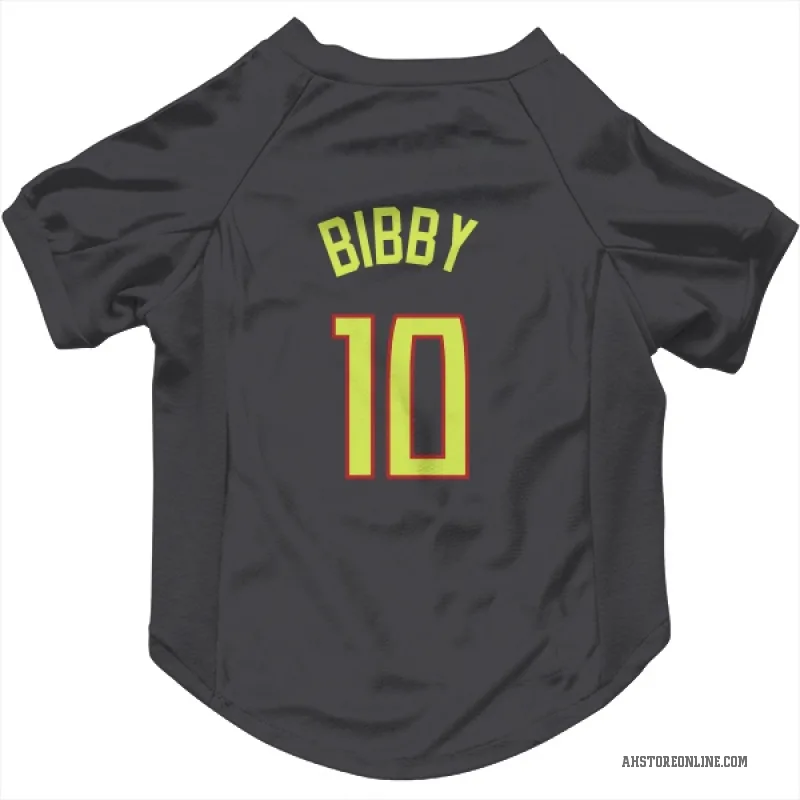 Mike Bibby  Gray Atlanta Hawks  Cat & Dog Pet Jersey