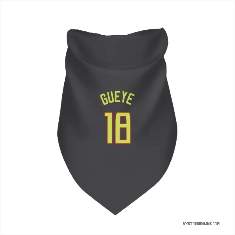 Mouhamed Gueye  Gray Atlanta Hawks  Cat & Dog Pet Bandana