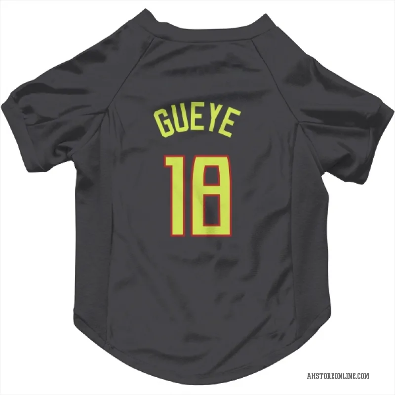 Mouhamed Gueye  Gray Atlanta Hawks  Cat & Dog Pet Jersey