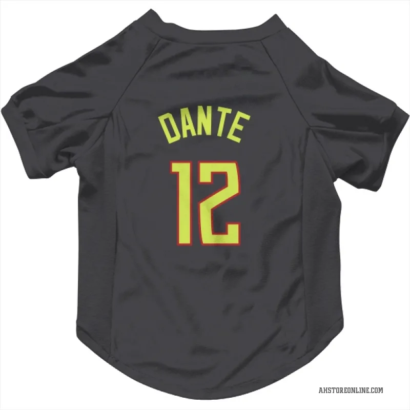 N'Faly Dante  Gray Atlanta Hawks  Cat & Dog Pet Jersey