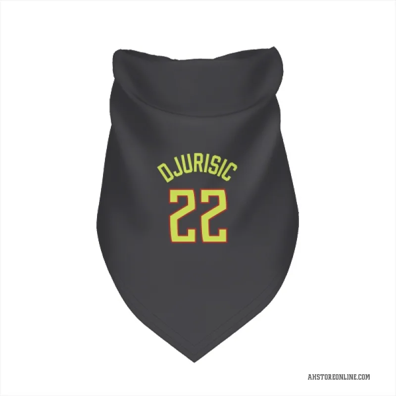 Nikola Djurisic  Gray Atlanta Hawks  Cat & Dog Pet Bandana