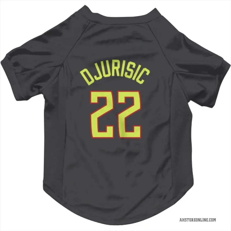 Nikola Djurisic  Gray Atlanta Hawks  Cat & Dog Pet Jersey