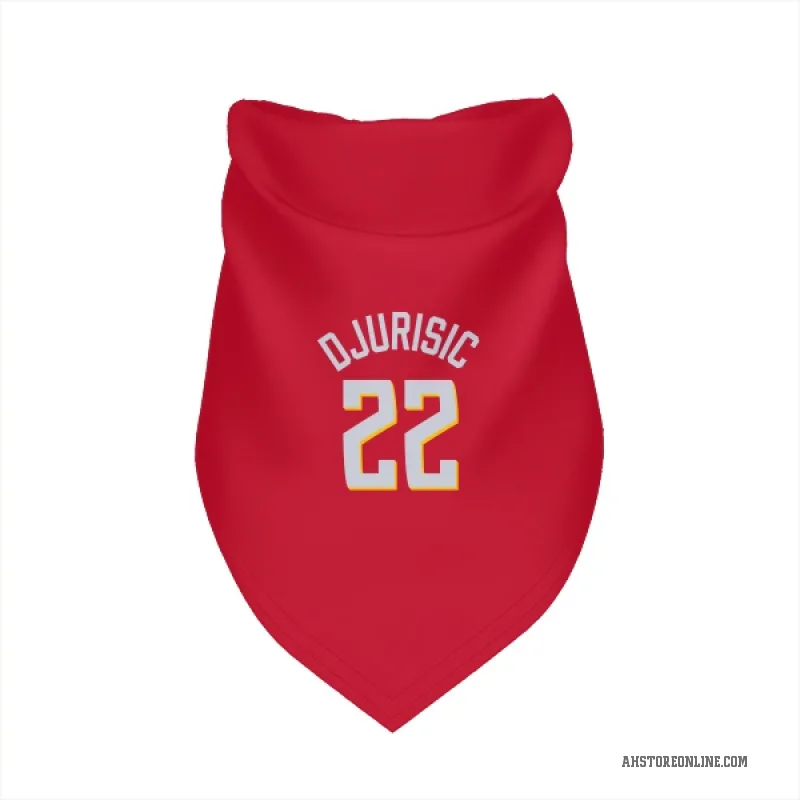 Nikola Djurisic  Red Atlanta Hawks   Cat & Dog Pet Bandana
