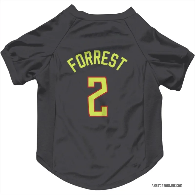 Trent Forrest  Gray Atlanta Hawks  Cat & Dog Pet Jersey