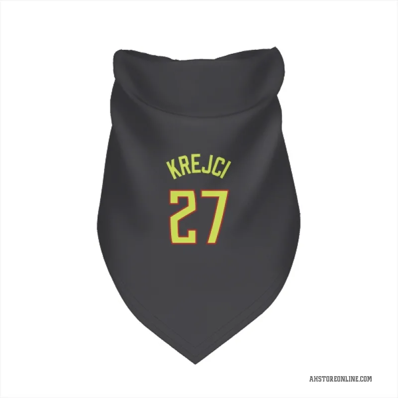 Vit Krejci  Gray Atlanta Hawks  Cat & Dog Pet Bandana