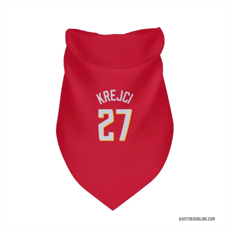 Vit Krejci  Red Atlanta Hawks   Cat & Dog Pet Bandana