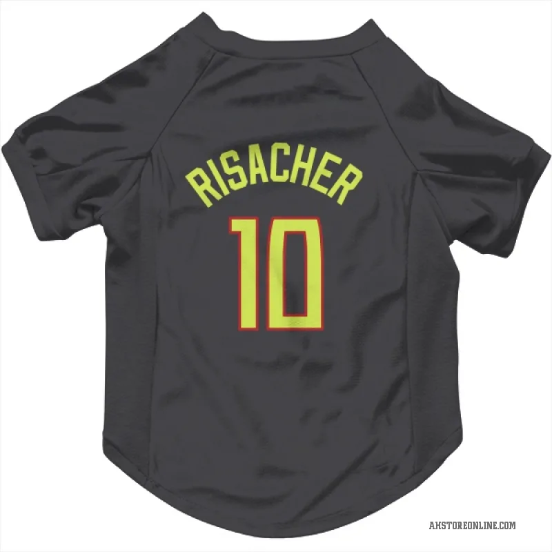 Zaccharie Risacher  Gray Atlanta Hawks  Cat & Dog Pet Jersey